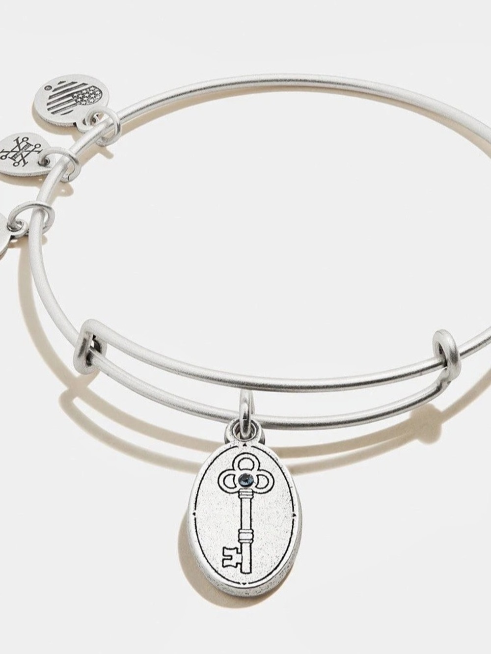Alex and Ani Key to Wisdom Charm Bangle Silver